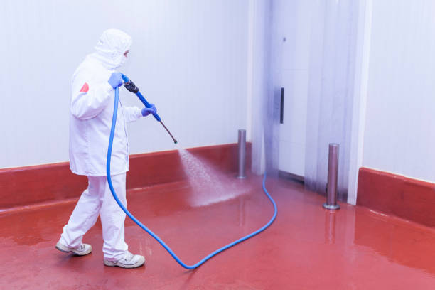 Best Playground Equipment Cleaning  in Nokomis, FL